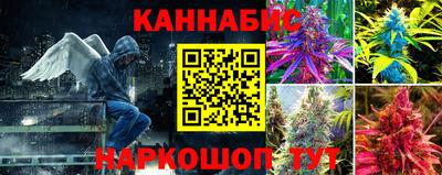 ПСИЛОЦИБИНОВЫЕ ГРИБЫ Можга
