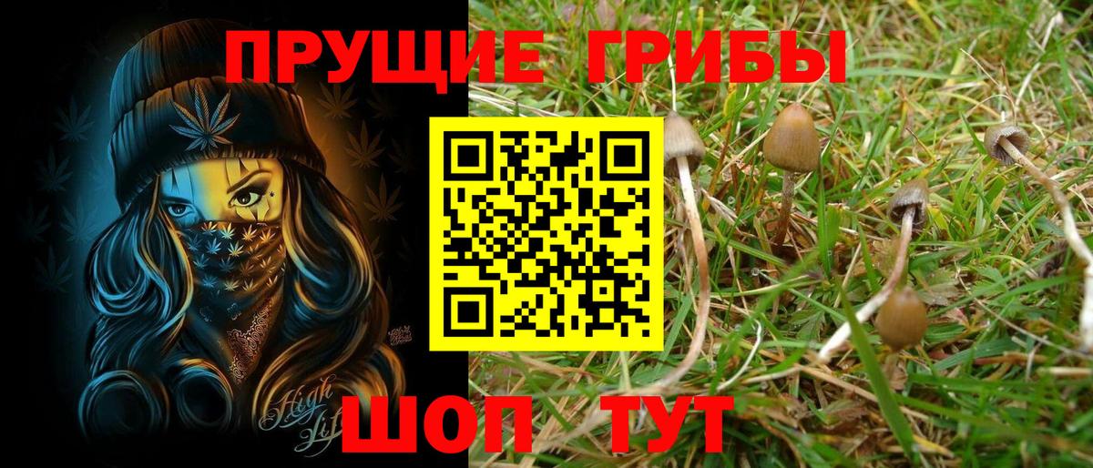 Галлюциногенные грибы GOLDEN TEACHER  Вход с VPN  Энгельс  Галлюциногенные грибы Psilocybe 