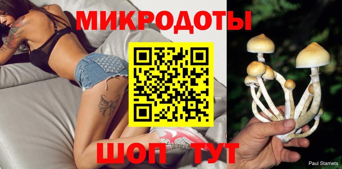 Галлюциногенные грибы Psilocybine cubensis Энгельс